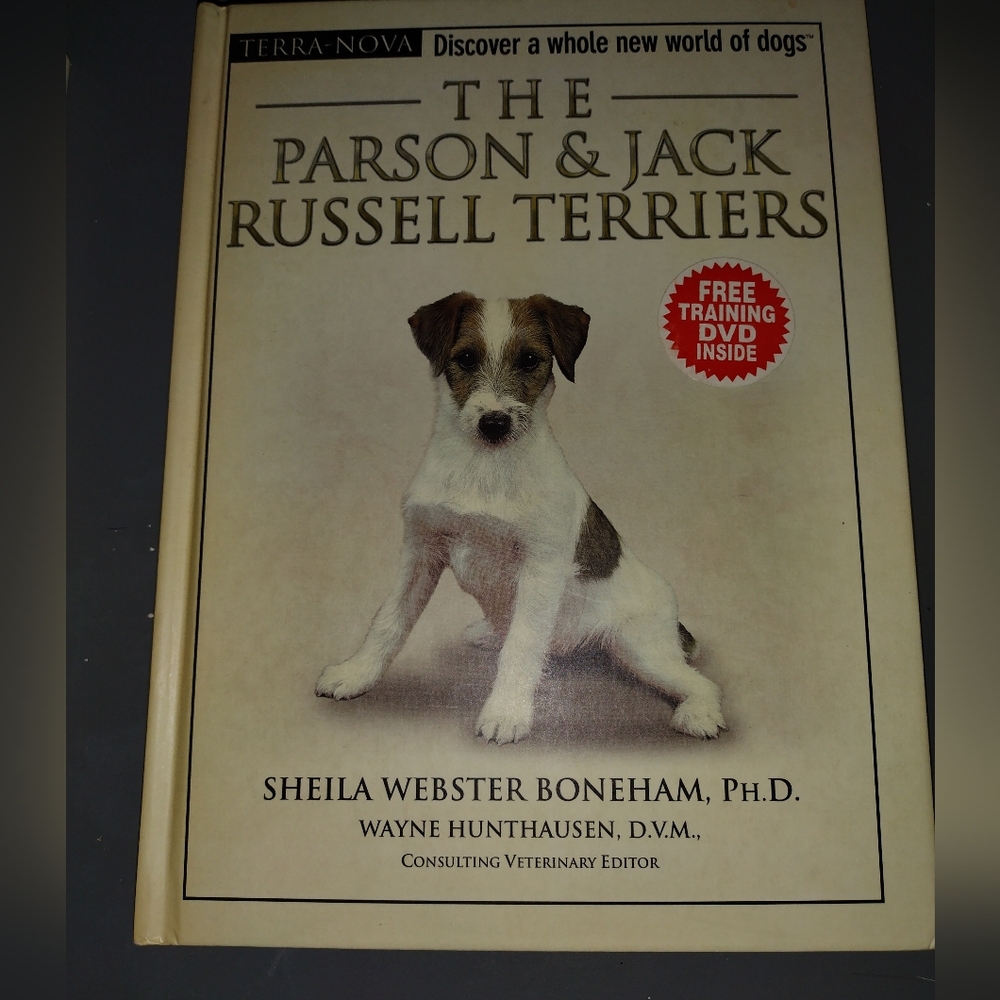 Jack Russell - Picture 3 of 4